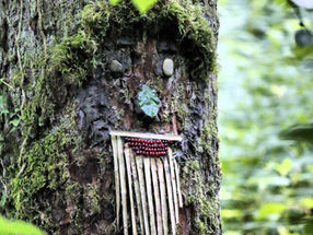 Stage Arts Plastique enfants "Land Art" - du 20 au 23 avril inclus