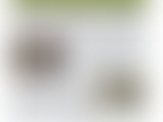 "MJC : Plus active que jamais" article du Républicain d'Uzès et du Gard du 12 septembre 2024