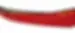 Canoe Rentals.webp