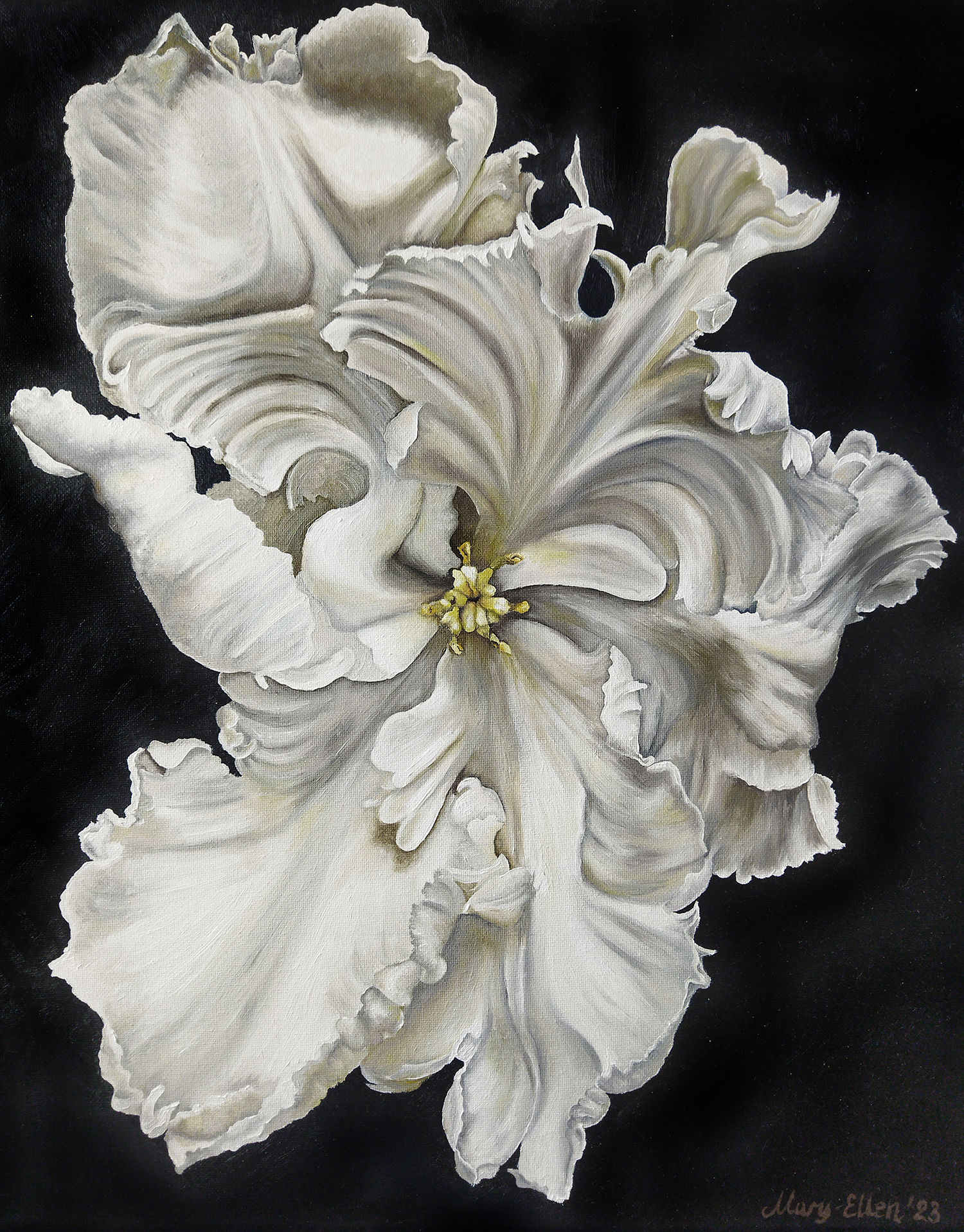 White tulip, 40*50 cm, oil on canvas