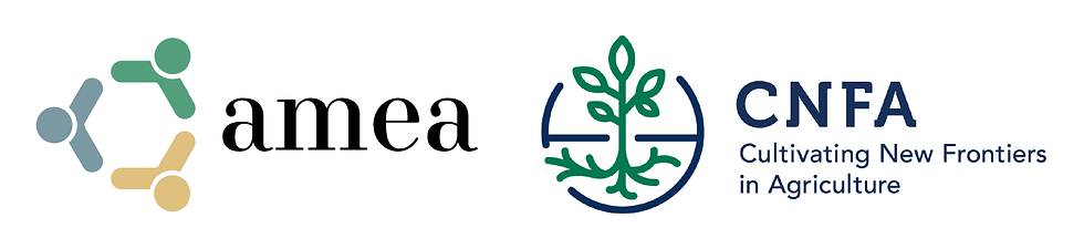 Agribusiness Market Ecosystem Alliance Cultivating New Frontiers in Agriculture