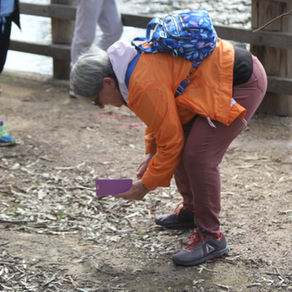 Spring (almost) in the Billabong - St Peters Billabong