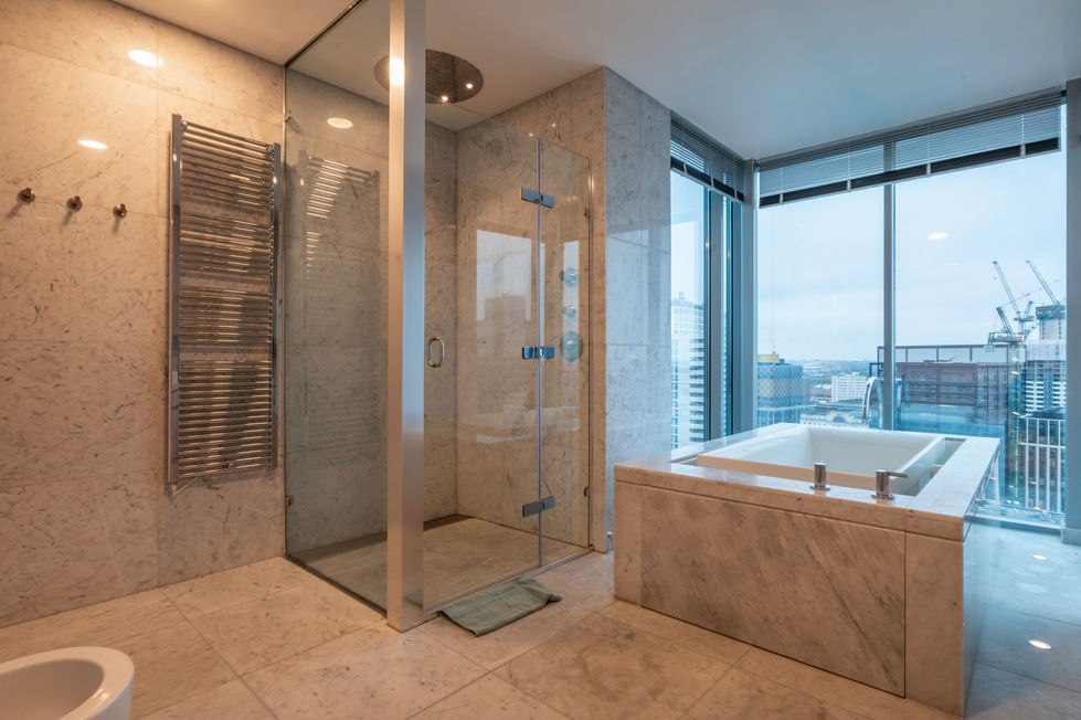 Orion Master bath shower