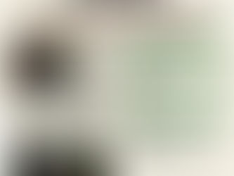 Namu's Aquarium Bibim-bap