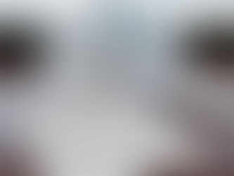 Investment Management Agreement between an FIHV and an SFO