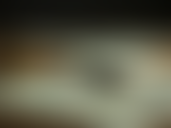 Basic Financial Instruments