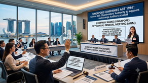 Shareholder Auditor Authority Under Singapore Law