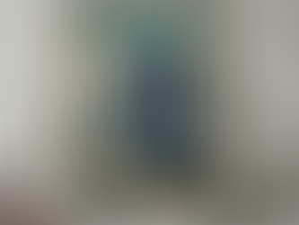 Housing Developer's Licence