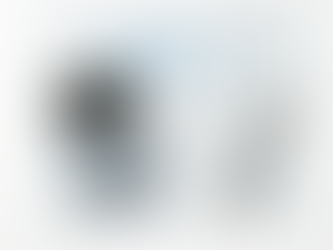 Calculation of Carry Forward Losses