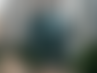 What is a Branch Office in Hong Kong