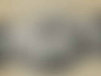 Partnership Agreements