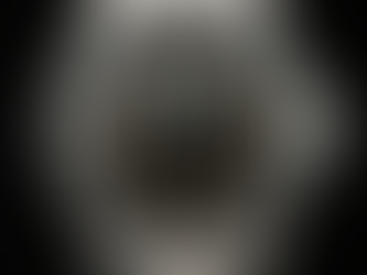 Which Watch is Most Likely to Appreciate in Value