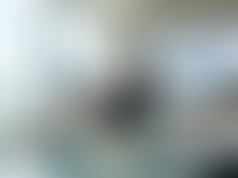 Business Transfer Services