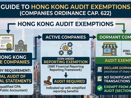 Hong Kong Audit Exemptions