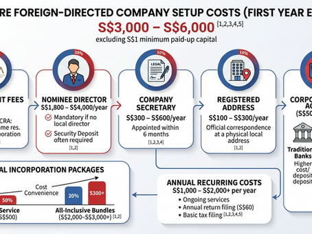Foreign Director Company Setup Cost