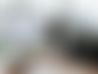 Singapore Audit Support Services