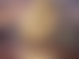 Supremacy of the Shareholders' Agreement (SHA) in Hong Kong: A Critical Safeguard