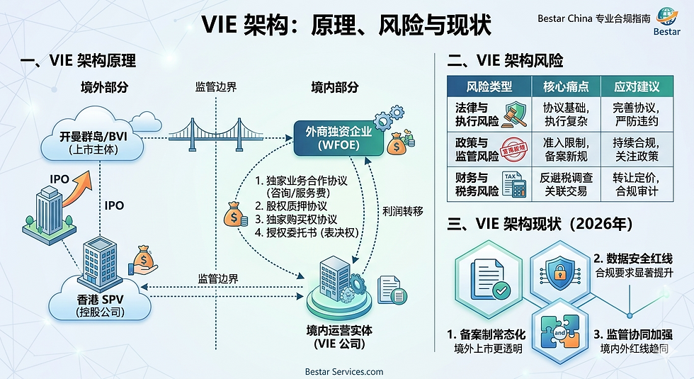 VIE 架构：原理、风险与现状