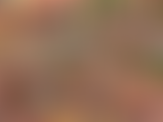 Setting Up a Tea Shop Chain