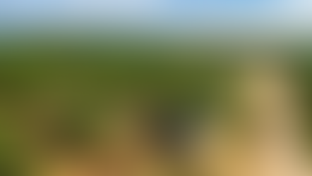 Business for Sale Malaysia - Active, Prime Oil Palm Plantation
