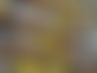 Guide to Becoming a Wholesale Supplier Singapore