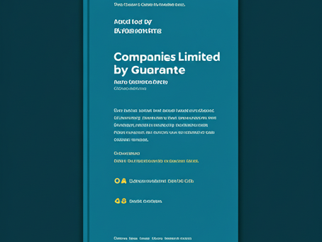 Guide For Companies Limited By Guarantee