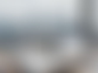 Employment Contract Drafting 