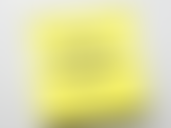 What are White Labeling Services