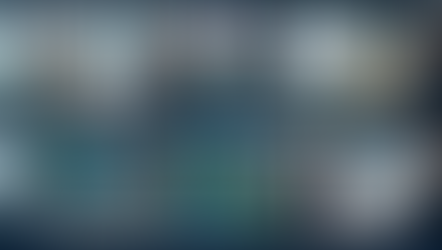 Financial Statement Audit