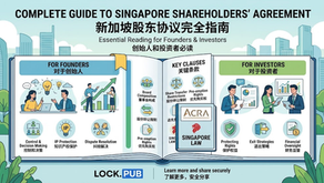 新加坡股东协议完全指南:创始人和投资者必读