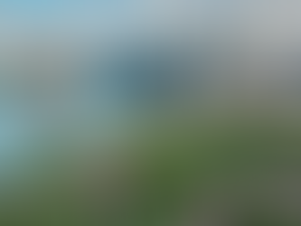 The Service Sector: Singapore's Economic Backbone