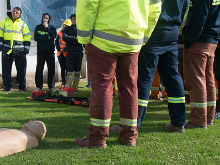 CPR and first aid training