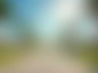 Understanding the Closing Process in Florida From Contract to Keys