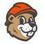 Writer: Beaver Roofing