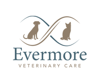 Writer: Evermore Veterinary Care