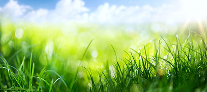 shutterstock_574939951.jpg