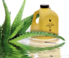 Aloe Vera Gel