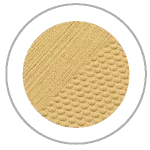 1_Camel-18-150x150.webp