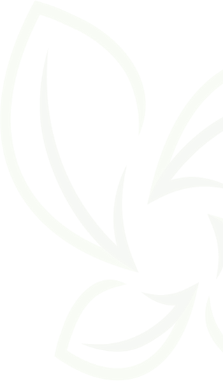 Group (1).png