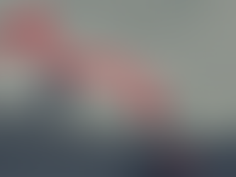 Three Golden Rules for Damage Control in Forex Trading