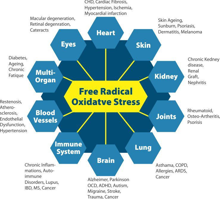 Oxidative Stress and Your Health!
