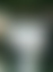 Qual o valor da festa de casamento em 2026? Veja como evitar erros e não estourar o orçamento 