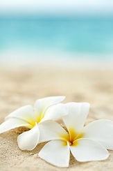 Fotolia_28413108_XS.jpg