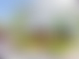 スズキ・メソードチェロ教室 万博