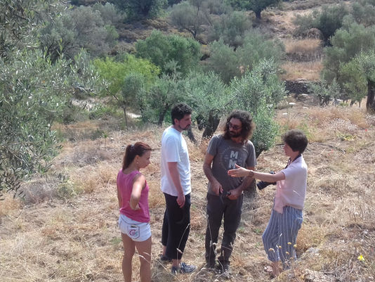 Exploring the essentials of Ikaria