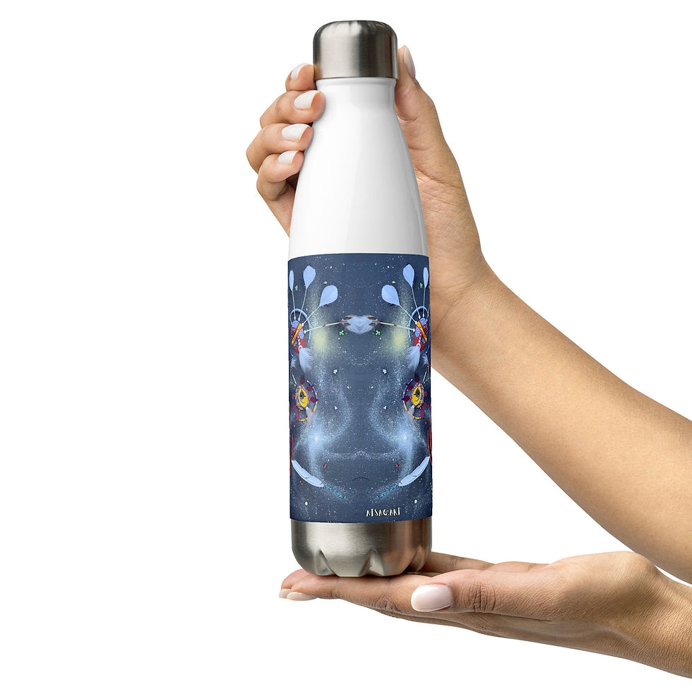Thumbnail: Northern Stars Stainless Steel Water Bottle