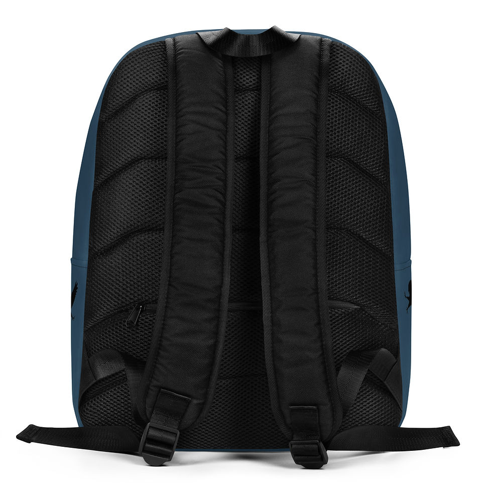 Thumbnail: Ocean Orange Stripe Backpack