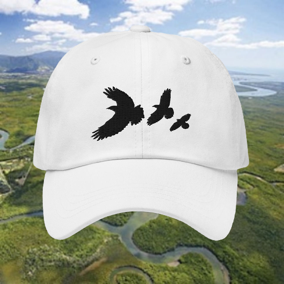 Thumbnail: 3-Raven Dad Hat
