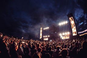 Mayhem Website-50.jpg