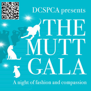 9-28-2023 THE MUTT GALA - Hudson Valley